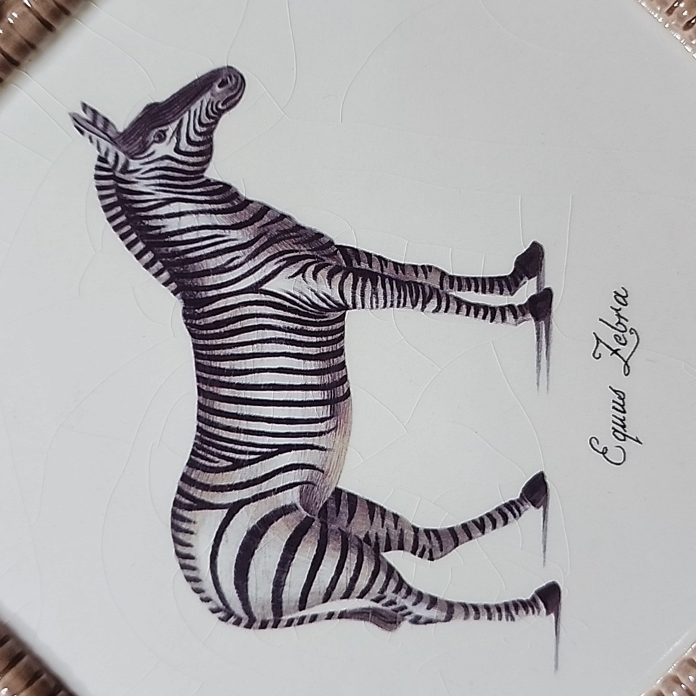 Raymond Waites Octagonal Zebra Accent Plate - Neutral Basketweave Frame - Picture 2 of 4